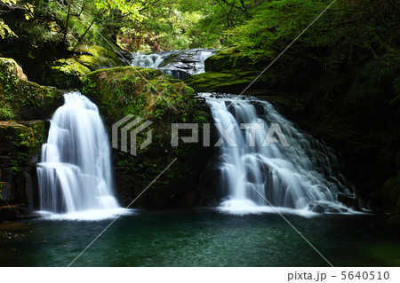 赤目四十八滝の荷担滝 赤目四十八滝の荷担滝 5640510