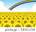 ひまわりと虹№4 5641156