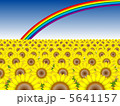 ひまわりと虹№1 5641157