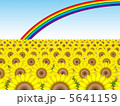 ひまわりと虹№2 5641159