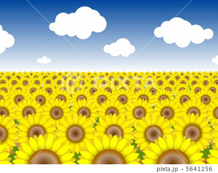 ひまわり畑 5のイラスト素材