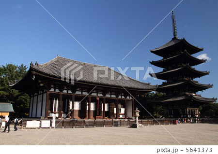 興福寺　東金堂と五重塔 5641373