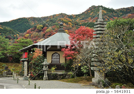 京都　三秀院　東向き大黒天の秋 5641931