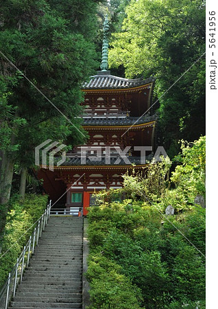 奈良　松尾寺　三重塔 5641956