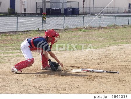 女子野球のたまごたち 5642053