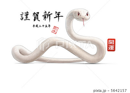 年賀状13 白蛇のイラスト素材