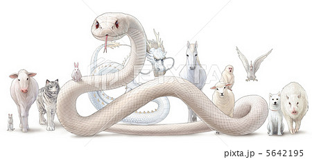 Assembled Next To White Zodiac Stock Illustration