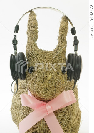 ヘッドホーン ヘッドホーン 5642272