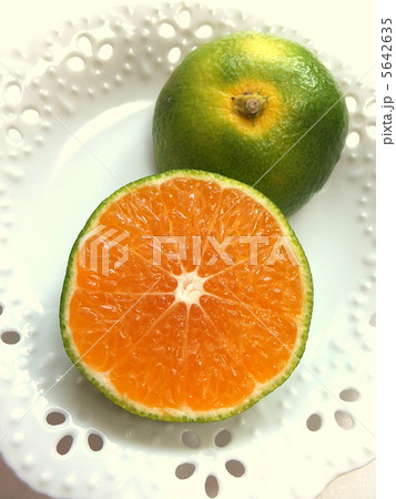 秋の味覚 早生みかん 秋の味覚 早生みかん 5642635