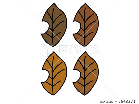 枯葉 枯葉 5643271