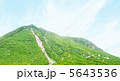 山 5643536