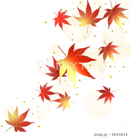 紅葉 5643643