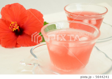 ハイビスカス ハイビスカス 5644241