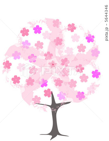 さくらの木 さくらの木 5644346