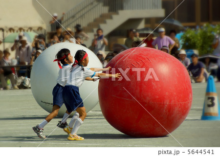 小学校の運動会 _ 球ころがし 小学校の運動会 _ 球ころがし 5644541
