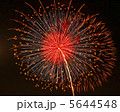 花火01 5644548