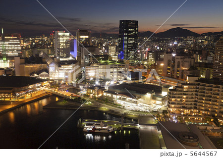 神戸港　夜景 5644567