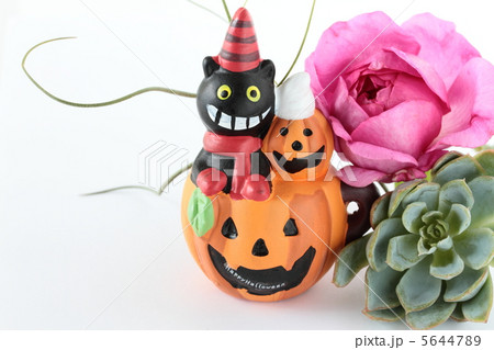 ハロウィン 5644789