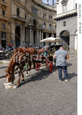 イタリア　ナポリ馬車 5644790
