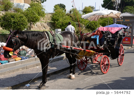 イタリア ナポリ馬車 イタリア ナポリ馬車 5644792