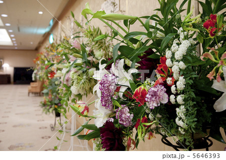 パーティー会場のスタンド花 5646393