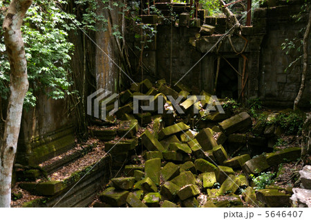 世界遺産アンコール遺跡群ベンメリア 5646407