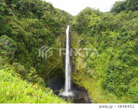 AKAKA FALLS AKAKA FALLS 5646452