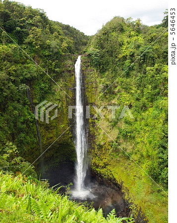 AKAKA FALLS 5646453