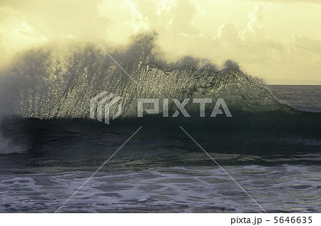 バックウォッシュ2 バックウォッシュ2 5646635