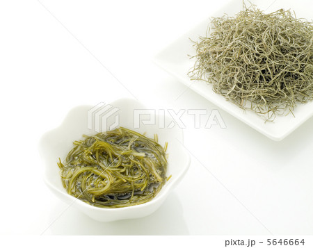 ガゴメ昆布 ガゴメ昆布 5646664