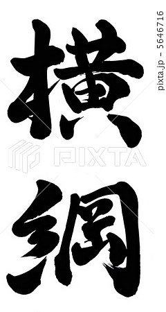 横綱 5646716