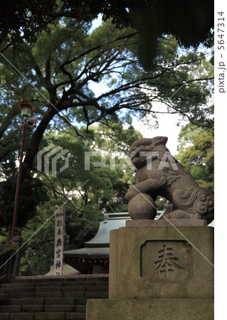 狛犬来宮神社 5647314