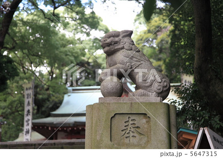 狛犬来宮神社 5647315