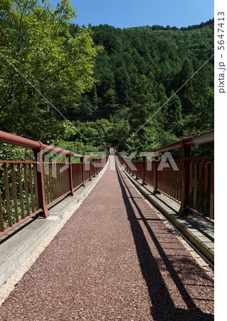 秋川渓谷 石舟橋 秋川渓谷 石舟橋 5647413