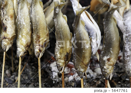 ヒメマスの串焼き ヒメマスの串焼き 5647761
