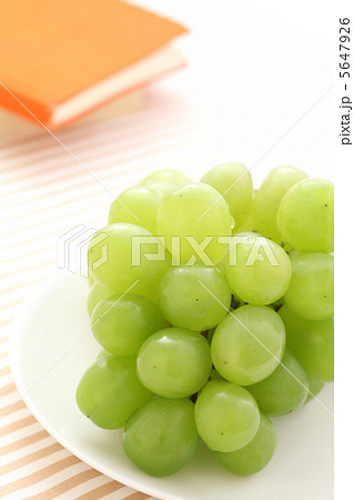 葡萄 5647926