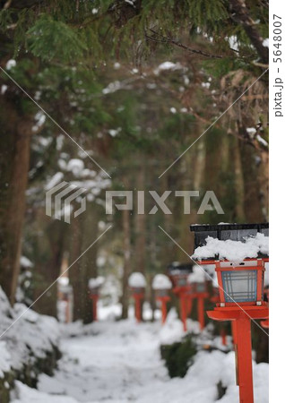 雪の参道 雪の参道 5648007