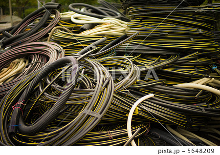 電線の渦 5648209