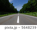 まっすぐな道 5648239