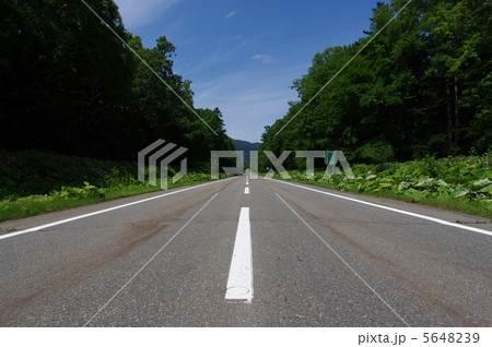 まっすぐな道 5648239
