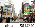 銀座の交差点 5648240