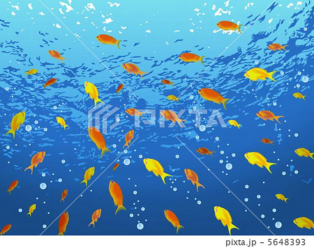 水中の魚たちのイラスト素材 5648393 Pixta