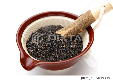 ごますり 5649349