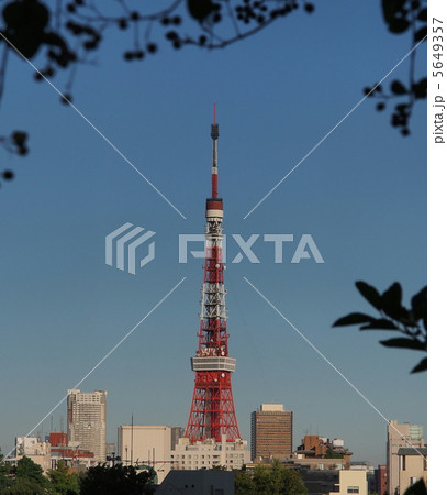 六本木ヒルズのパブリックスペースから見える東京タワー 5649357
