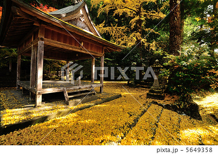 岩戸落葉神社 岩戸落葉神社 5649358