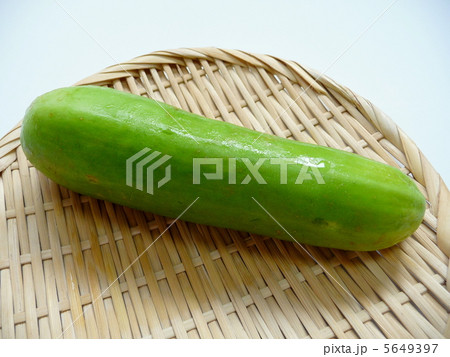 はぐら瓜 5649397