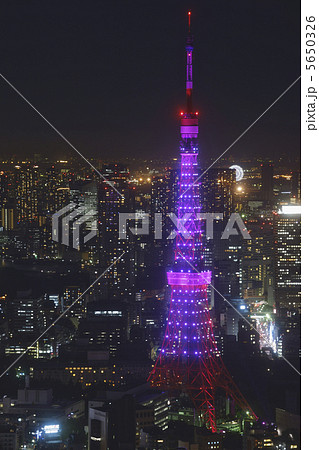 東京タワー ピンクリボン の写真素材