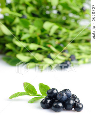 Bilberries 5650707