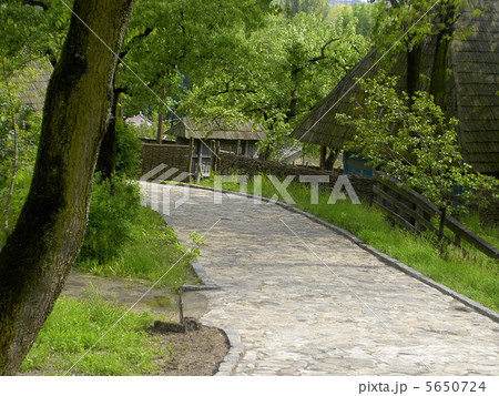 Road in old village Road in old village 5650724