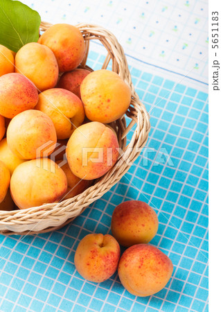Apricots 5651183
